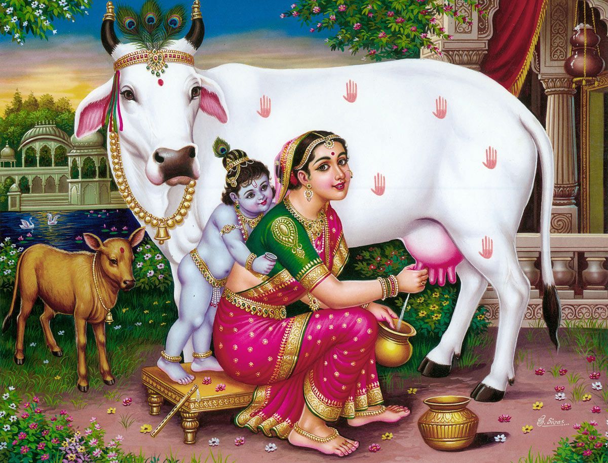Krishna magic