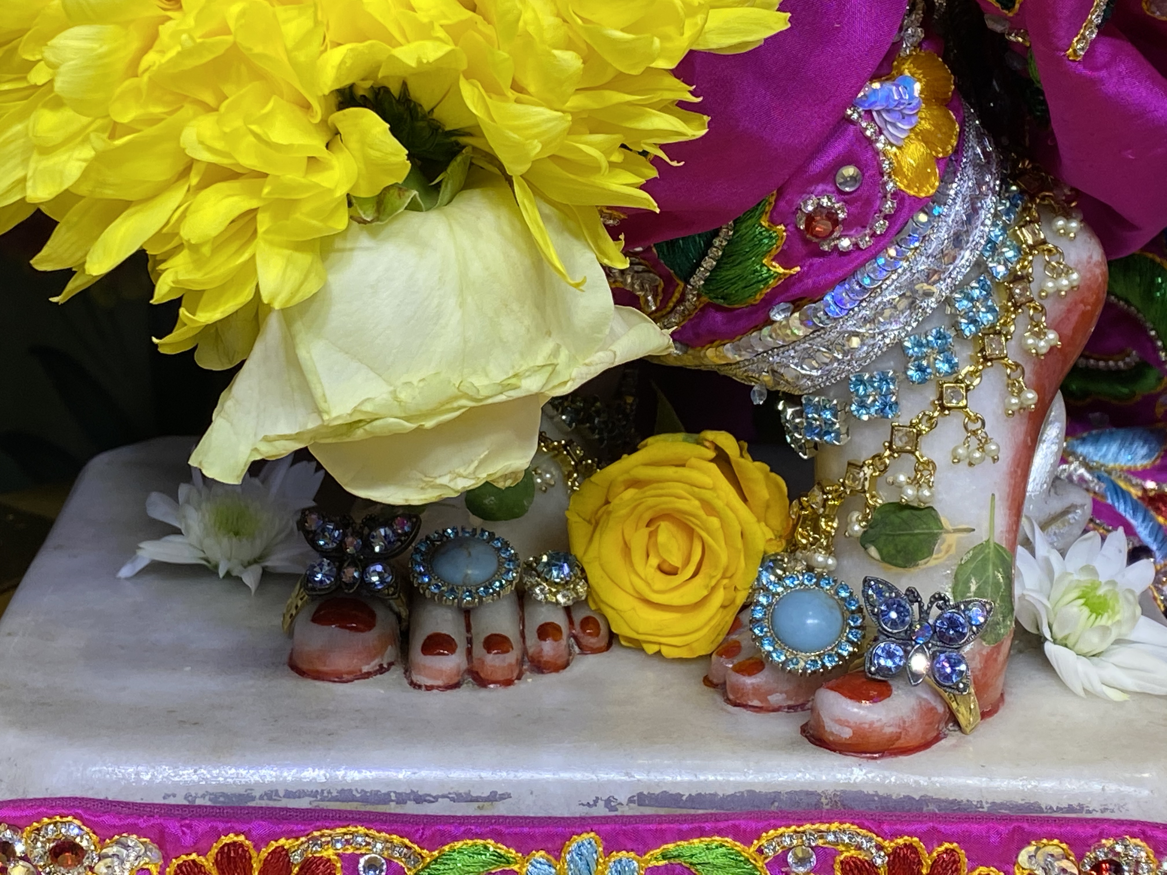 “I just want to please Krishna”