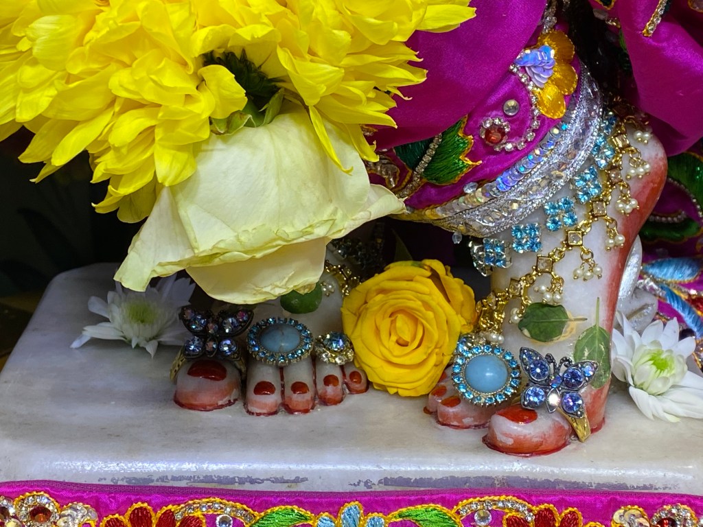 “I just want to please&nbsp;Krishna”