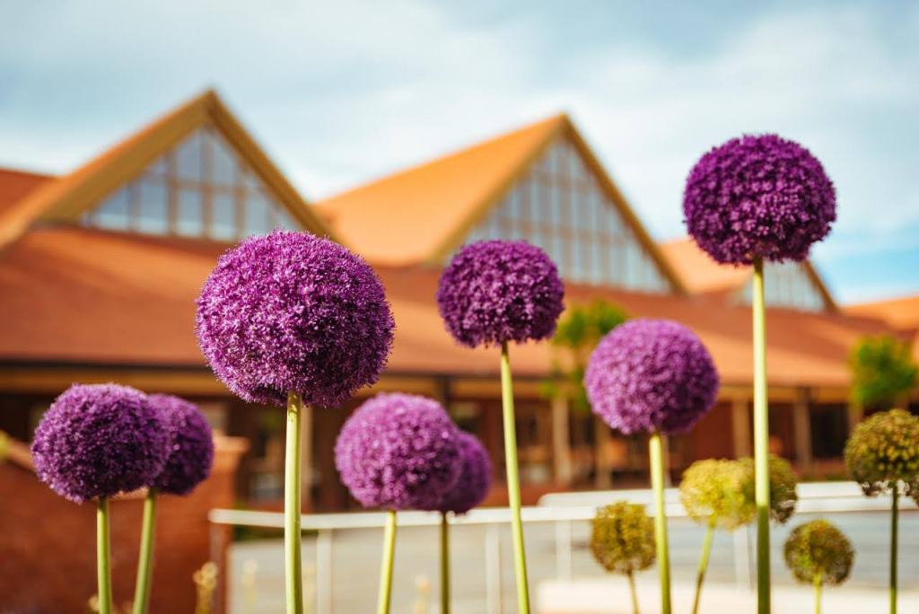 Service- a gift from&nbsp;God