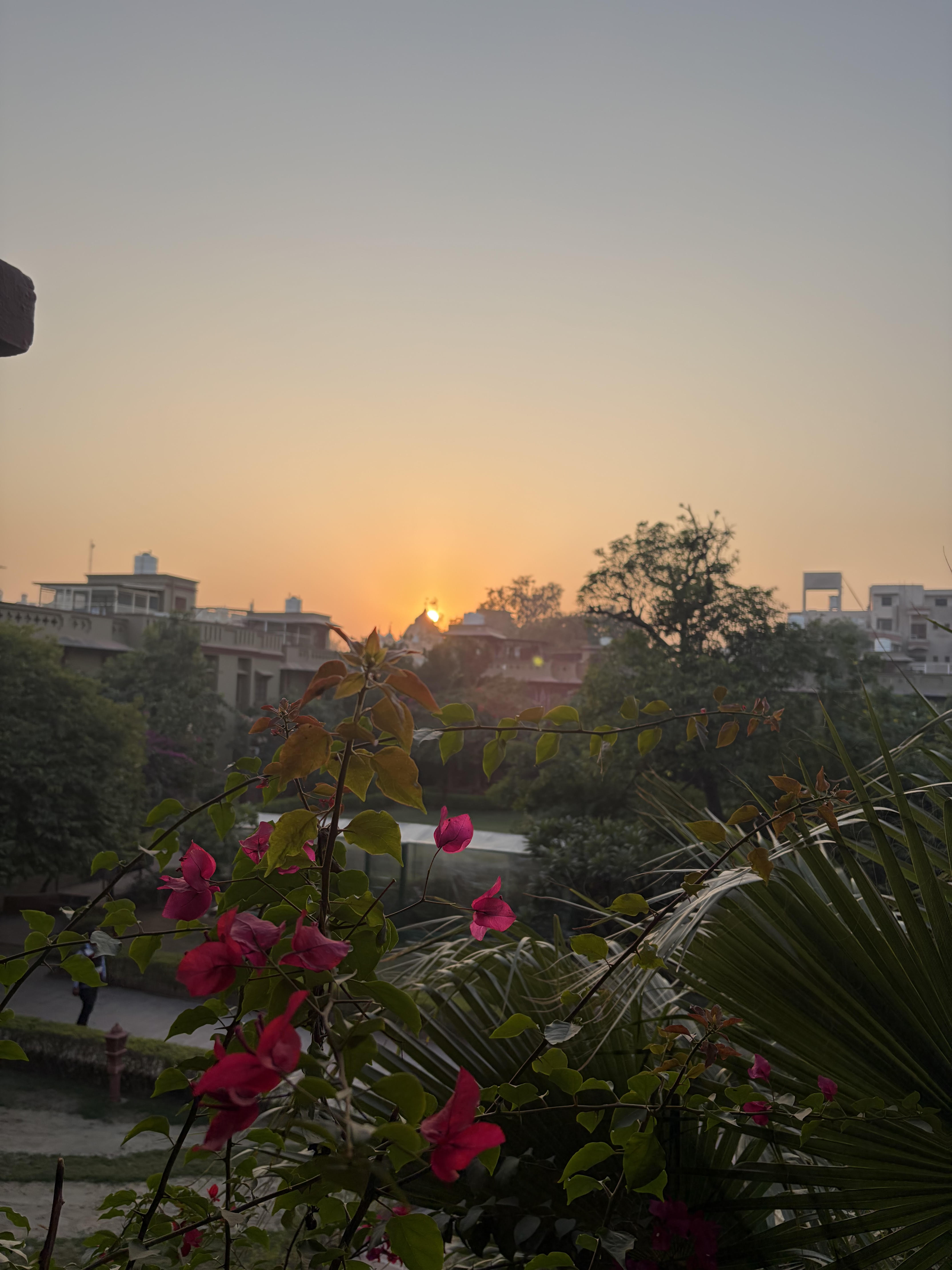 The essence of Vrindavan: Service to Lord Krishna